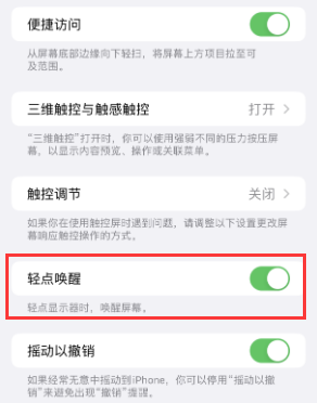 邵东苹果授权维修站分享iPhone轻点无法唤醒怎么办 