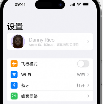 邵东appleID维修服务iPhone设置中Apple ID显示为灰色无法使用