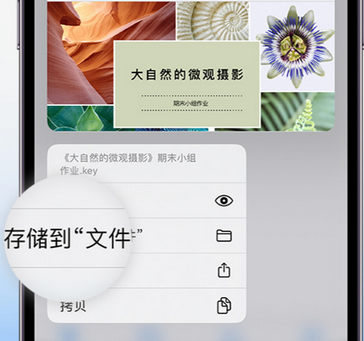 邵东apple维修中心分享iPhone文件应用中存储和找到下载文件