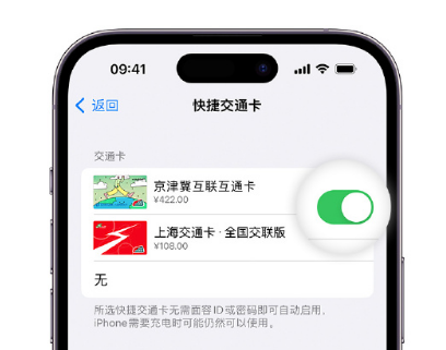 邵东apple维修点分享iPhone上更换Apple Pay快捷交通卡手绘卡面 