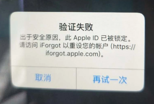 邵东iPhone维修分享iPhone上正常登录或使用AppleID怎么办 