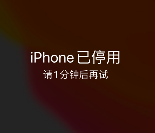 邵东苹果手机维修分享:iPhone 显示“不可用”或“已停用”怎么办？还能保留数据吗？ 