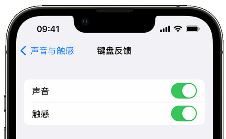 邵东苹果手机维修分享iPhone 14触感键盘使用方法 