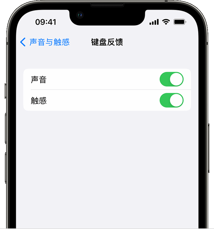 邵东苹果14维修店分享如何在 iPhone 14 机型中使用触感键盘 