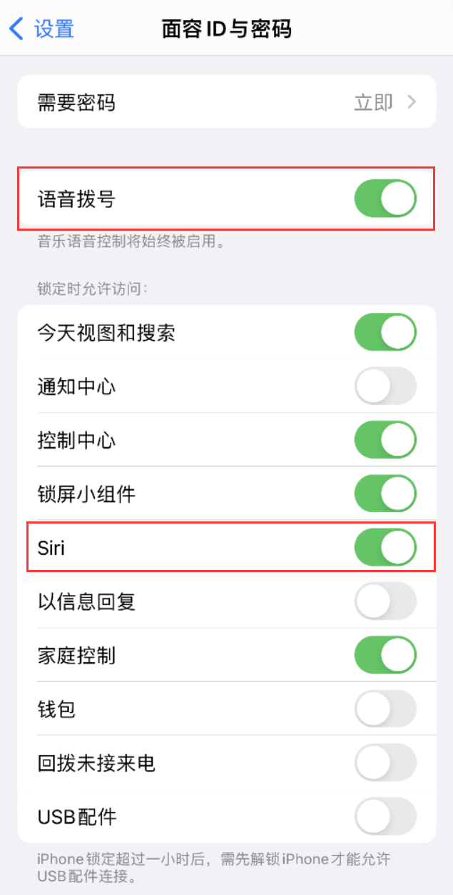 邵东苹果维修网点分享不解锁 iPhone 的情况下通过 Siri 拨打电话的方法 