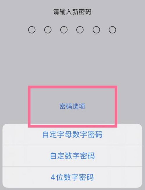 邵东苹果14维修分享iPhone 14plus设置密码的方法 