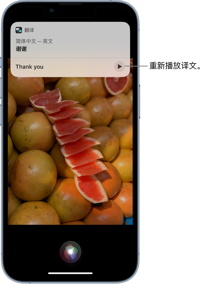 邵东苹果14维修分享 iPhone 14 机型中使用 Siri：了解 Siri 能帮你做什么 