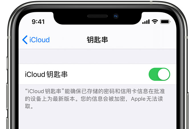 邵东苹果手机维修分享在 iPhone 上开启 iCloud 钥匙串之后会储存哪些信息 