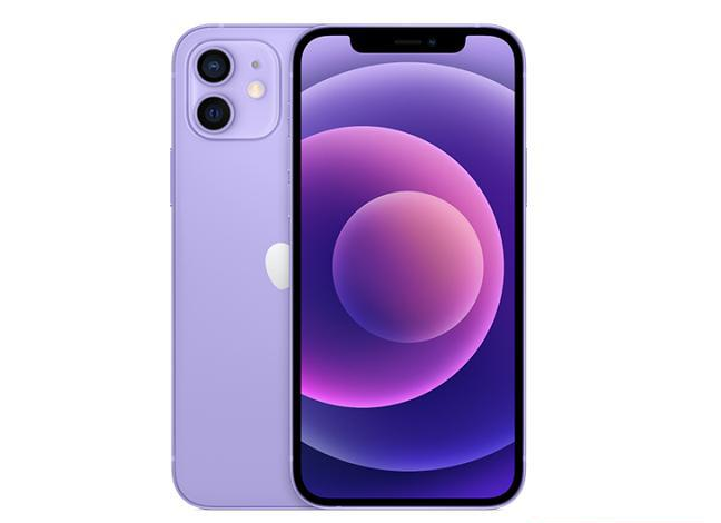 邵东苹果手机维修分享现阶段要不要入手紫色版iPhone12 