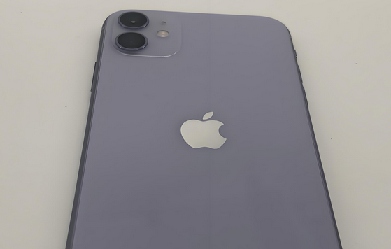 邵东苹果11系统维修分享iPhone11手机系统崩溃无法开机如何解决 